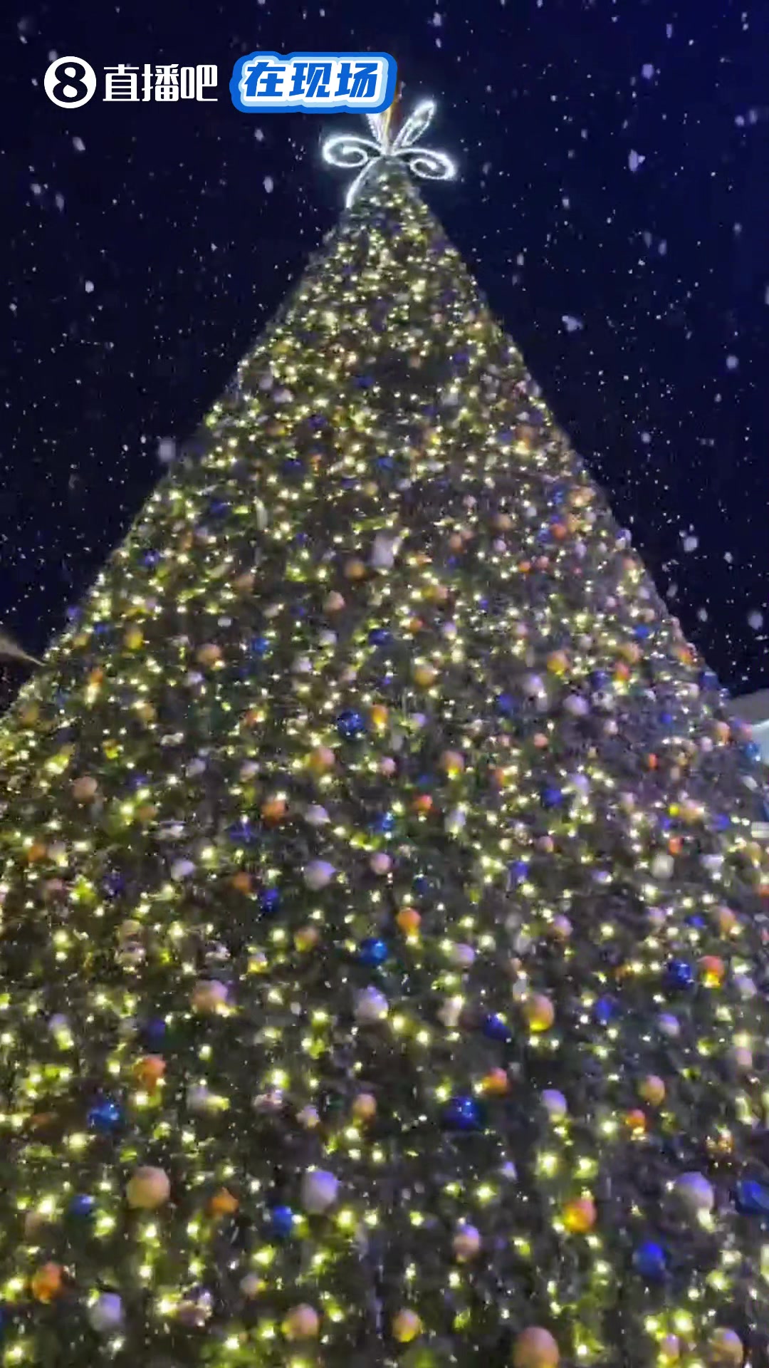 圣诞氛围浓厚🎅小吧今天去参加了大通中心圣诞树点灯仪式🎄